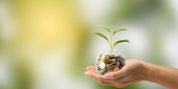 Money growing
