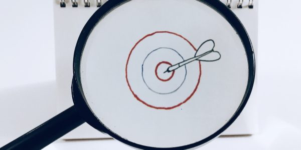 Target audience 29